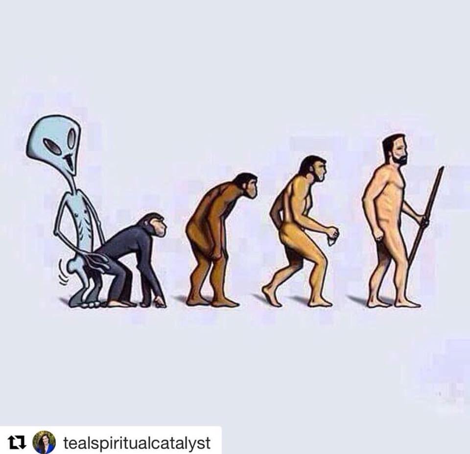 Эволюция прикол
